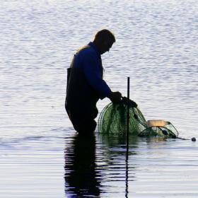 Fynske fiskepladser - fiskeri hele året rundt