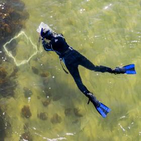 Dykning dyk diving aktiv hav Fyn øhavet