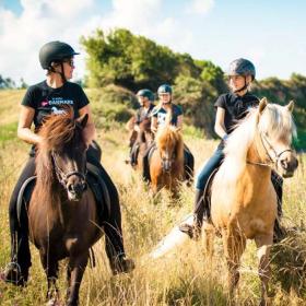 Fire piger på hver sin hest kommer ridende en solskinsdag på en mark ud til vandet.