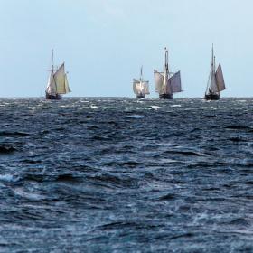 En masse skibe kommer sejlende over et stort, mørkeblåt hav under en lyseblå himmel.