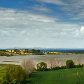 Vitsø på Ærø. Naturområde med sø, rapsmarker, marker og blå himmel.