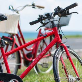 To røder cykler står på et græsstykke op ad en vej.