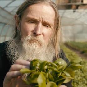 Nærbillede af mand med langt hår og langt hvidt skæg, der holder en grøn plante op.