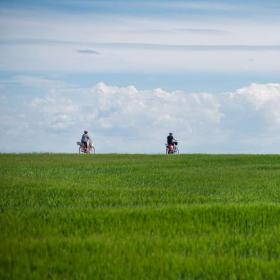 To cyklister ses cyklende langs en bølgende grøn græsmark under en blå himmel. Til højre i billedet et stort træ