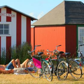En flok som slapper af på Vesterstrand efter Cykeltur 