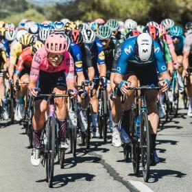 Stor gruppe af cykelryttere på landevejen