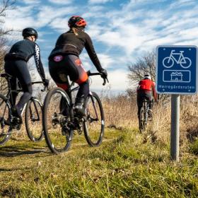 Tre racer-cyklister cykler på en græssti mellem højt græs og træer. I højre side ses et blåt skilt med cykel og navnet Herregårdsruten på.