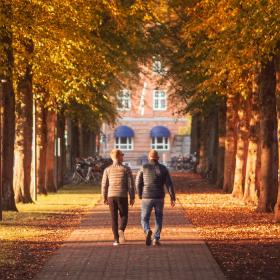To personer med ryggen til går på sti i Kongens Have i Odense omgivet af symmetriske rækker af træer i efterårsfarver til begge sider. For enden af stien kan den gamle banegårdsbygning skimtes.