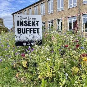 Bygning set udefra med skiltet "Svendborgs insektbuffet" midt i en masse vilde blomster.