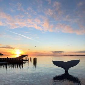 Solnedgang ved Faaborg Havnebad