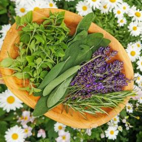 Bambuskurv med friske urter. Lavendel, salvie, rosmarin og oregano.