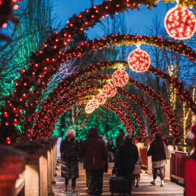 Lysende buer henover bro i Odense ZOO