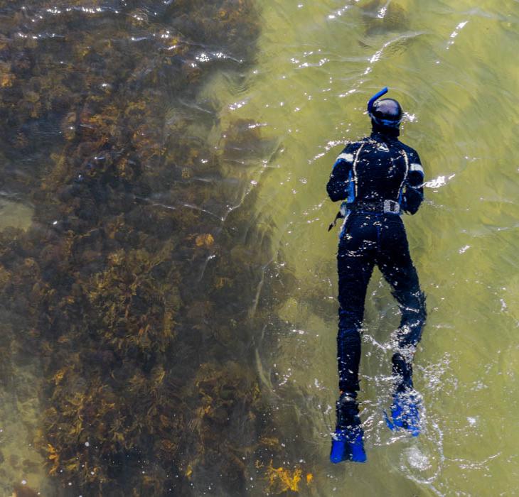 Dykning dyk diving aktiv hav Fyn øhavet