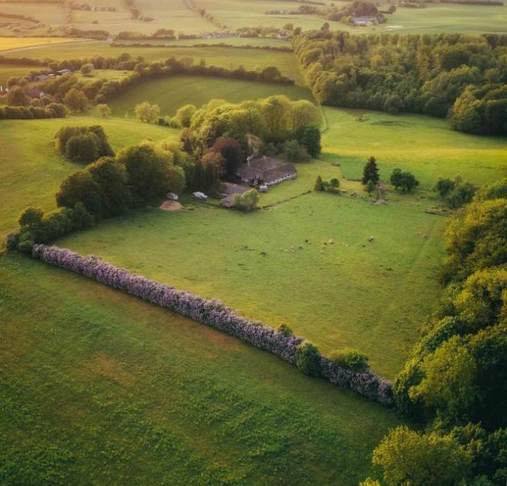 Droneskud af landskab med marker, syrenhegn og gårde.