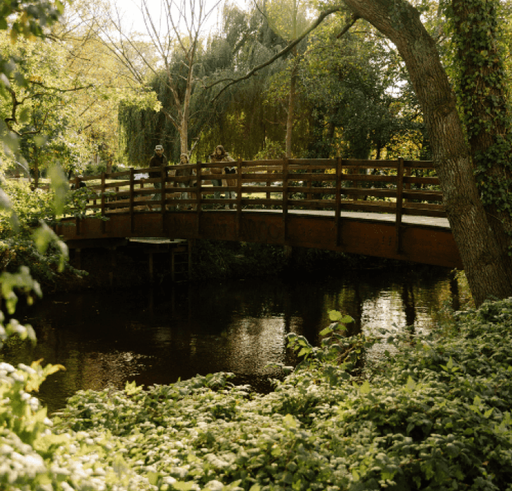 En familie står på en bro, der går over Odense Å og med grønne træer og planter der omkranser billedet.